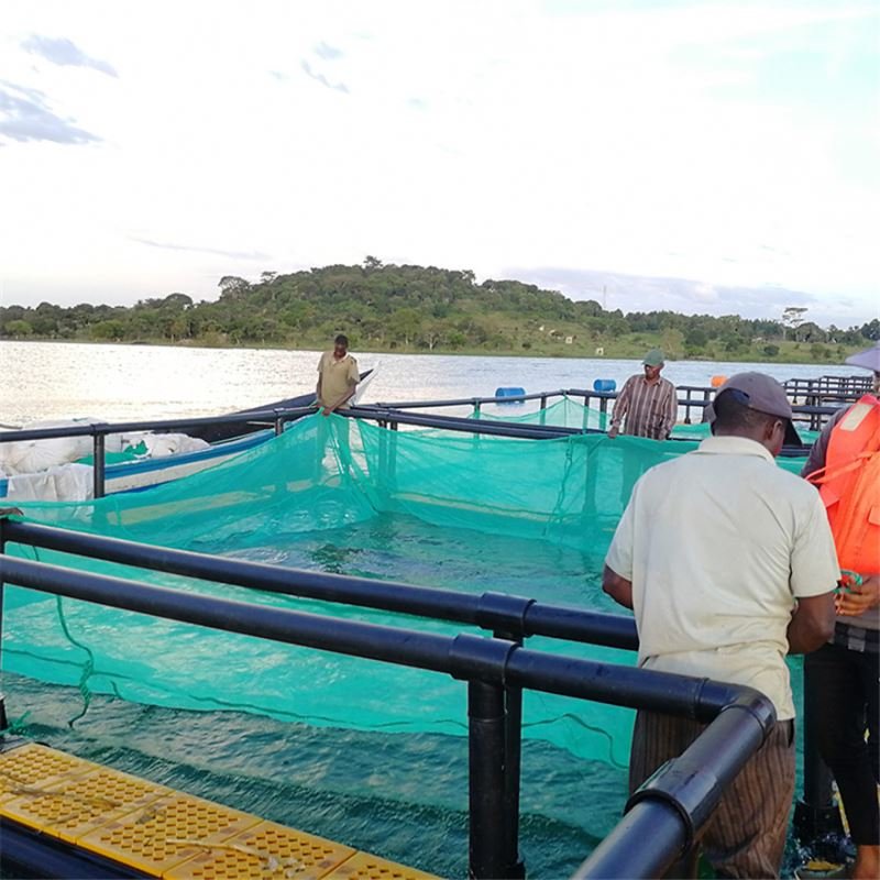 Leisure fishing fishery breeding leisure net cage