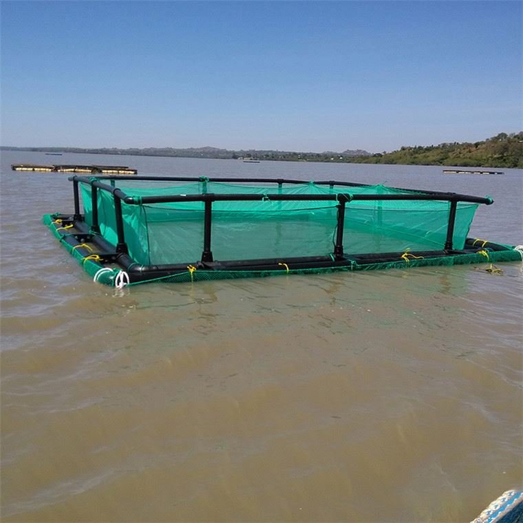 Leisure fishing fishery breeding leisure net cage