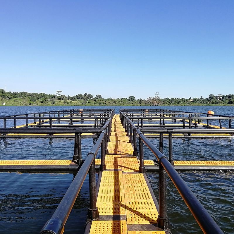 HDPE floating tilapia fish farming cages with fish cage floater