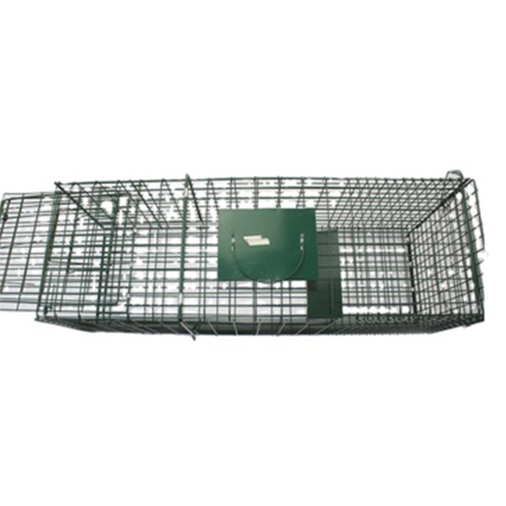 Larsen Magpie Trap Folding Galvanised Steel Pest Bird Cage Trap Animal Live Trap