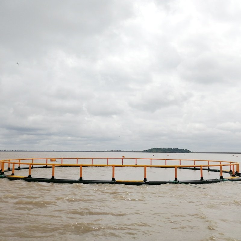 Eco fish farm net cage, floating fish cage
