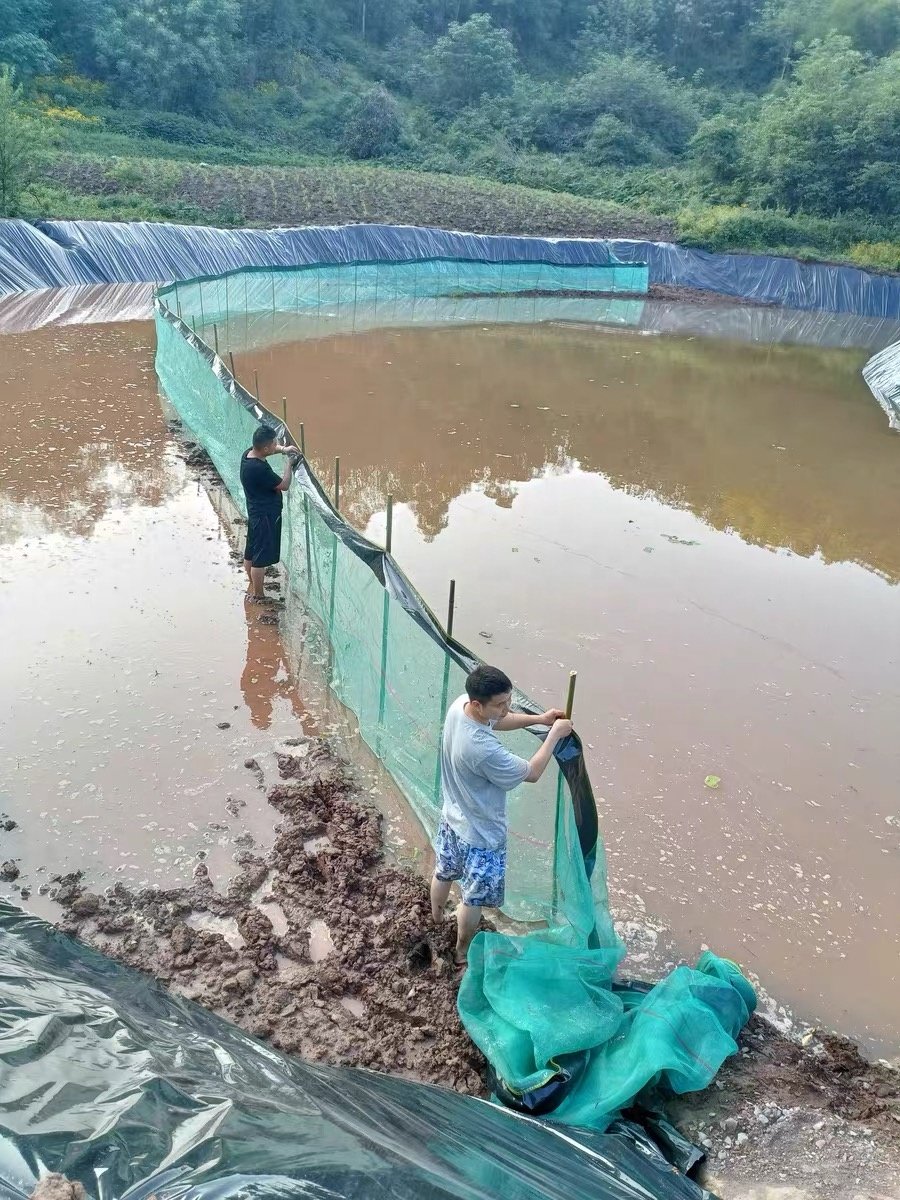 Factory Wholesale PE Square Fish Aquaculture Breeding Cage Nets For Fish Farming
