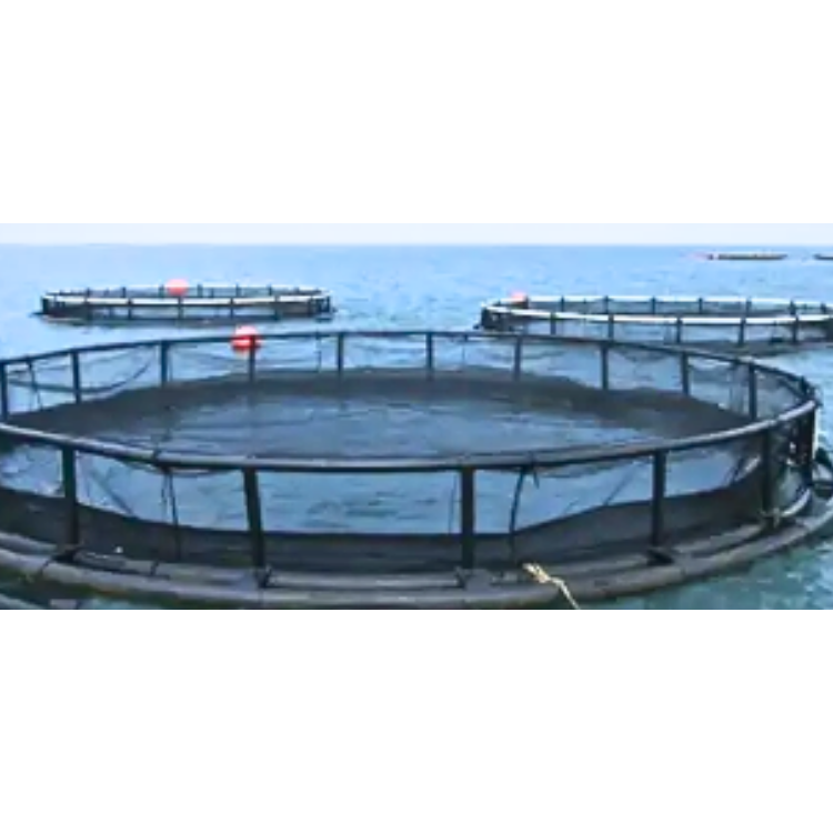 Cheap Price Floating Round Cage HDPE Fish Cage Aquaculture Trap Agricultural Equipment Vietnamese Manufacturer