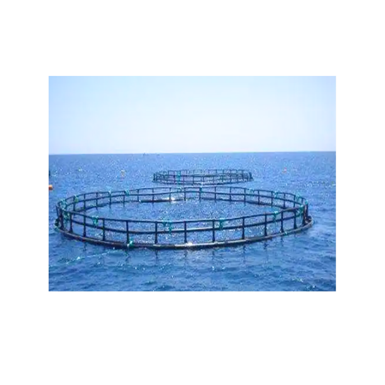 Cheap Price Floating Round Cage HDPE Fish Cage Aquaculture Trap Agricultural Equipment Vietnamese Manufacturer