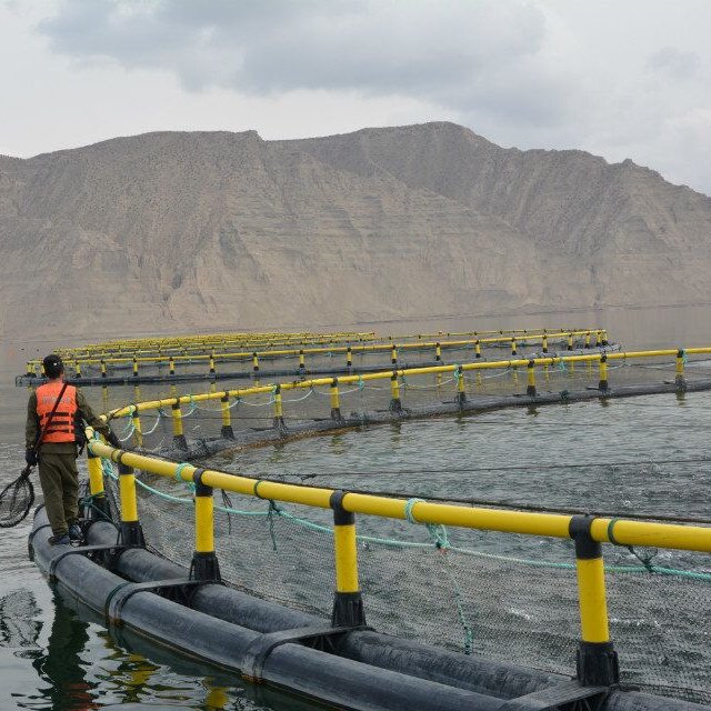 Qihang Aquaculture fish farming floating net cages