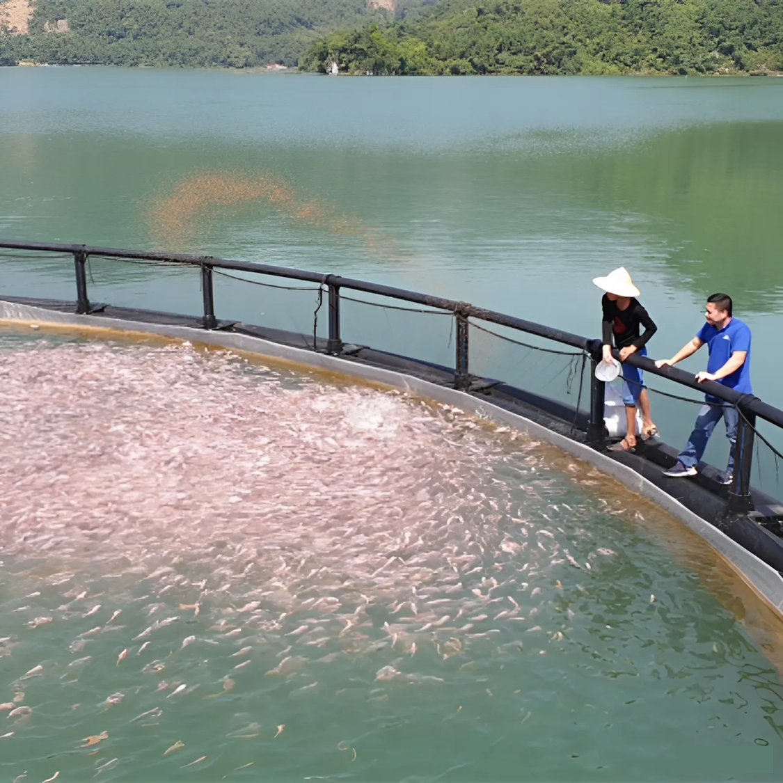 Aquaculture Fish Farming Cages Cage For Fish From Vietnam Manufacturer Wholesale Fish Cage Farming Float Aquaculture Trap