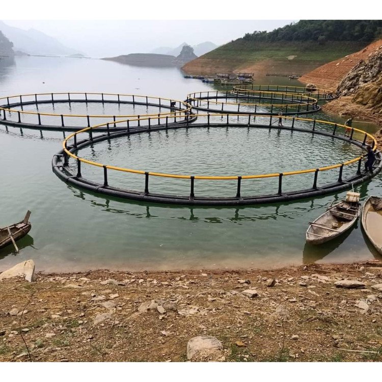 Aquaculture Fish Farming Cages Cage For Fish From Vietnam Manufacturer Wholesale Fish Cage Farming Float Aquaculture Trap