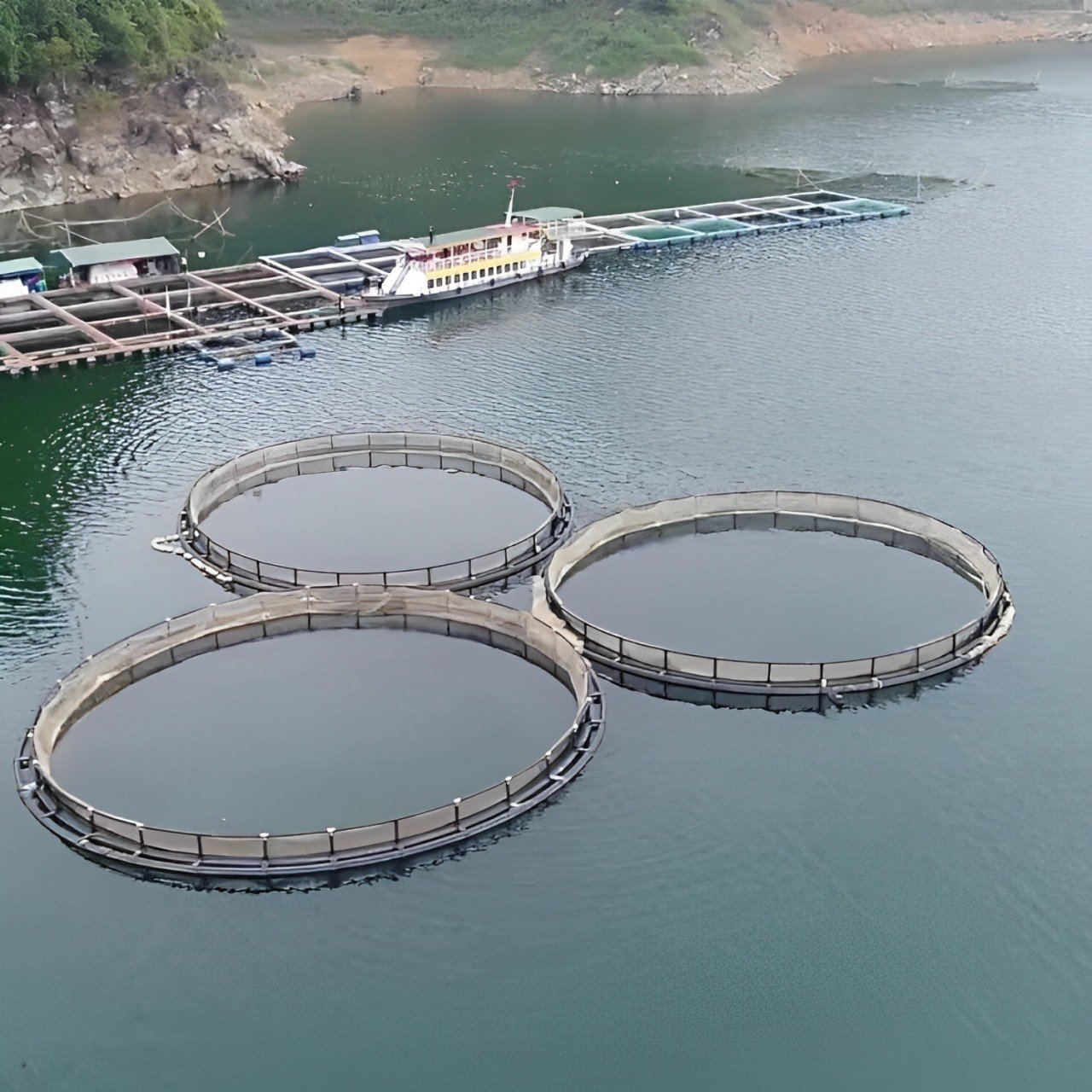 Aquaculture Fish Farming Cages Cage For Fish From Vietnam Manufacturer Wholesale Fish Cage Farming Float Aquaculture Trap