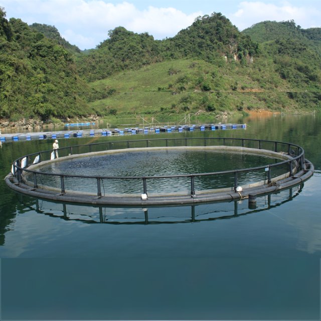 Aquaculture Fish Farming Cages Cage For Fish From Vietnam Manufacturer Wholesale Fish Cage Farming Float Aquaculture Trap