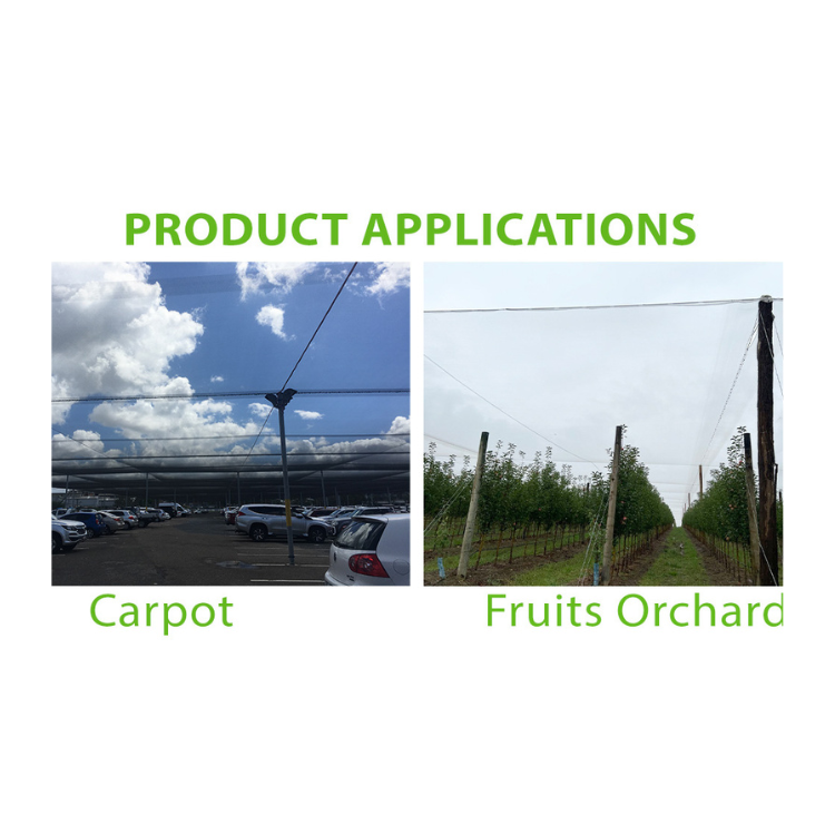 Factory Direct Custom Plastic HDPE Orchard Hail Net Excellent for Apple Protection and Aquaculture Trap Best Price in Vietnam