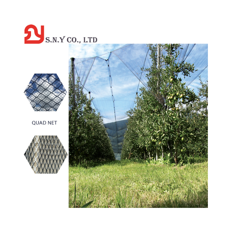 Factory Direct Custom Plastic HDPE Orchard Hail Net Excellent for Apple Protection and Aquaculture Trap Best Price in Vietnam