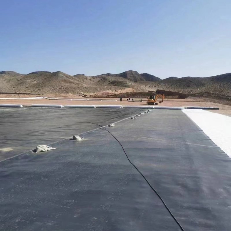 GRIGM13 Hdpe Geomembrane Pond Liner Industrial Pvc Waterproofing Membrane Smooth Surface Fish Ponds Farms Competitive Price