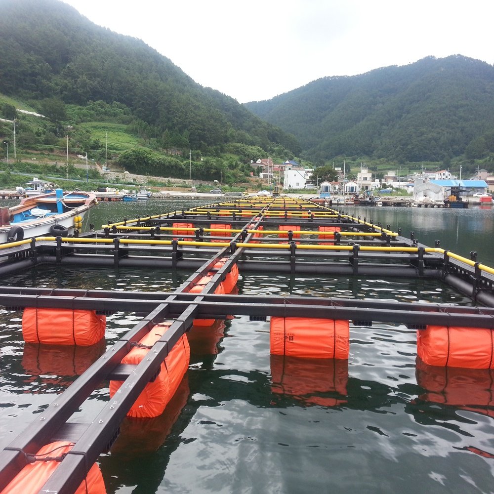 fish net pen floating hdpe fish net cage in open water