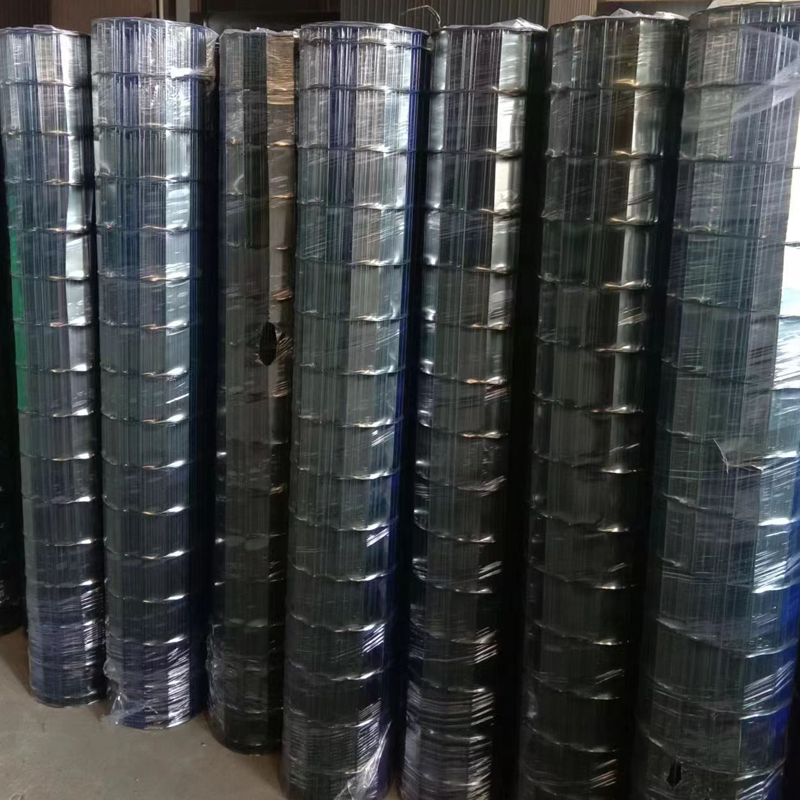 Green color pvc coated galvanized welded wire mesh/aquaculture Crawfish Trap
