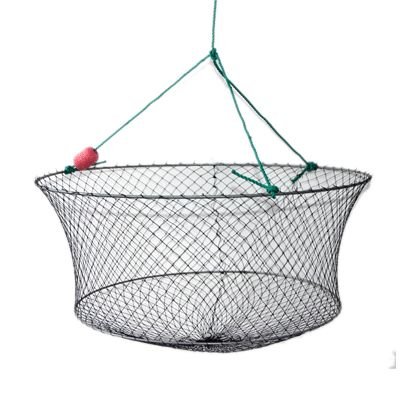 crab ring / collapsible crab pots / where to buy crab traps