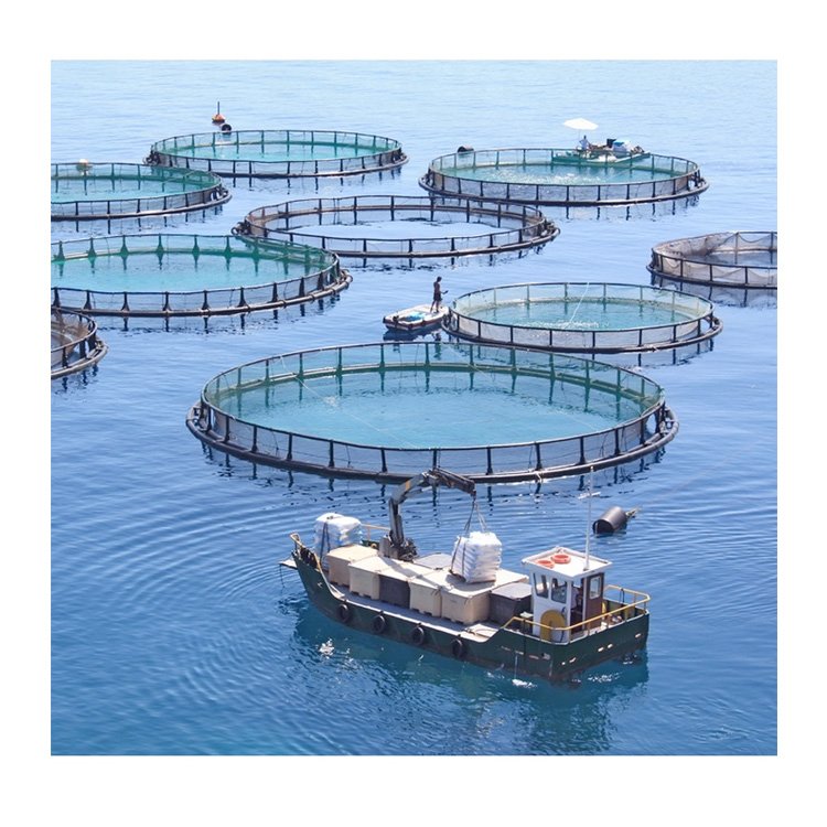 Deep Sea Offshore Cages Fish Farm Hdpe Fish Floating Farming Cage Hdpe Fish Cage Bracket