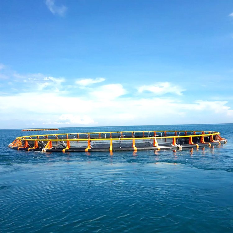 Deep Sea Offshore Cages Fish Farm Hdpe Fish Floating Farming Cage Hdpe Fish Cage Bracket