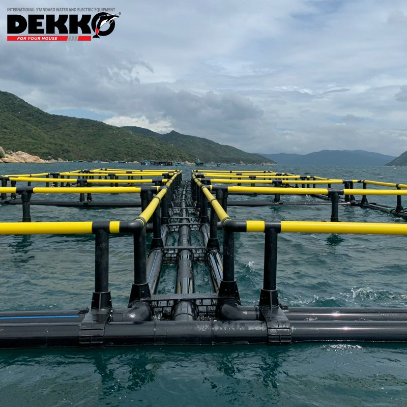 Hdpe Floating Fish Farming Cage Double tube square fish cage for Tilapia Fish Farming high quality