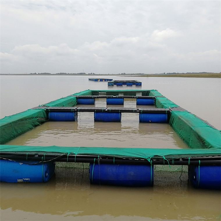 stainless steel shrimp fish net fish cage floating