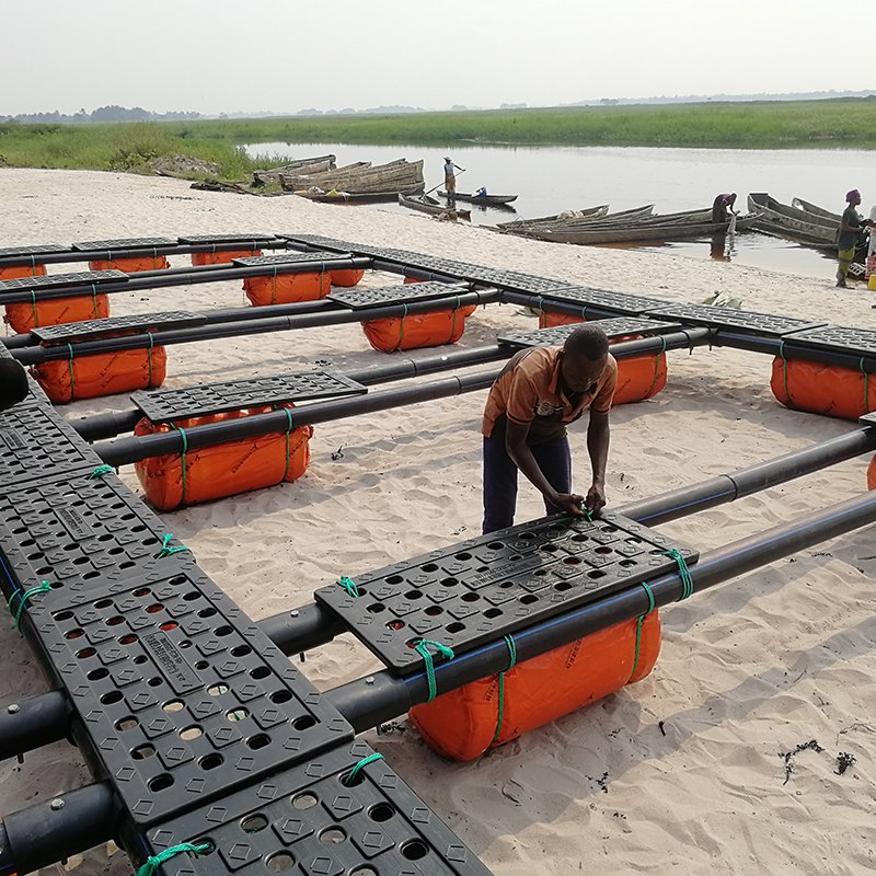 tilapia oyster crab fish farm cages system equipment aquaculture tanks fish farm