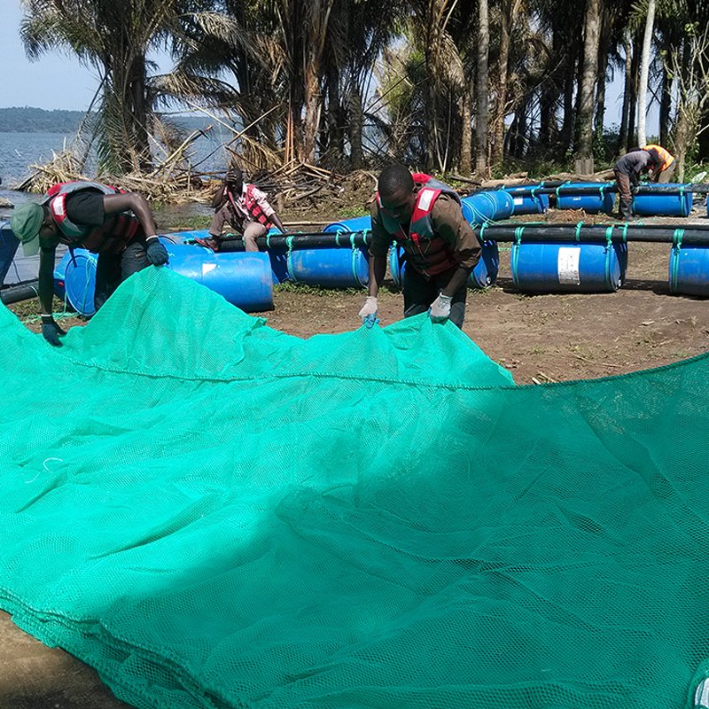 tilapia oyster crab fish farm cages system equipment aquaculture tanks fish farm