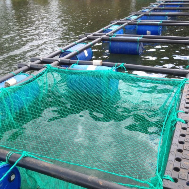 China factory Price sea fishery breeding cage,fish floating cage