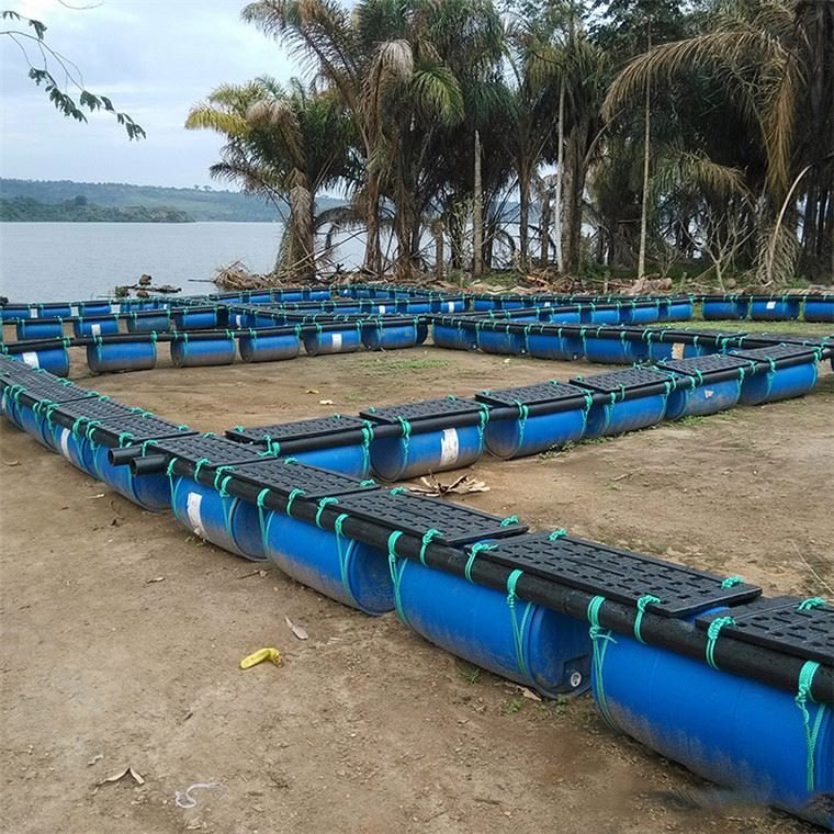 China factory Price sea fishery breeding cage,fish floating cage
