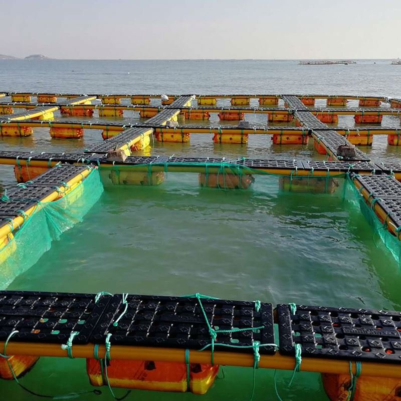 China factory Price sea fishery breeding cage,fish floating cage