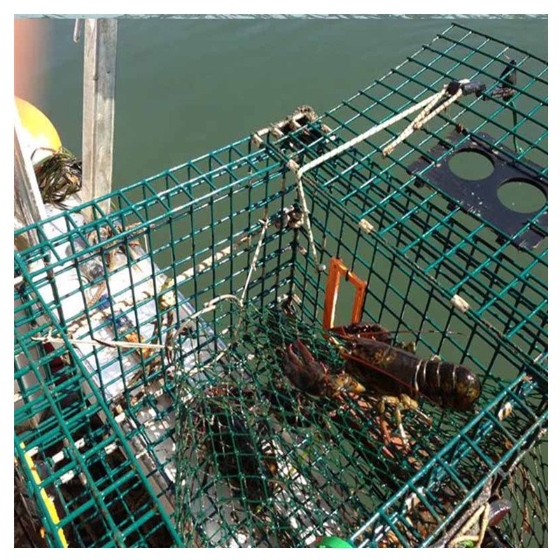3/4 Size Green Black PVC coated hot treat galvanized hexagonal Swamp Crab Trap Wire Mesh