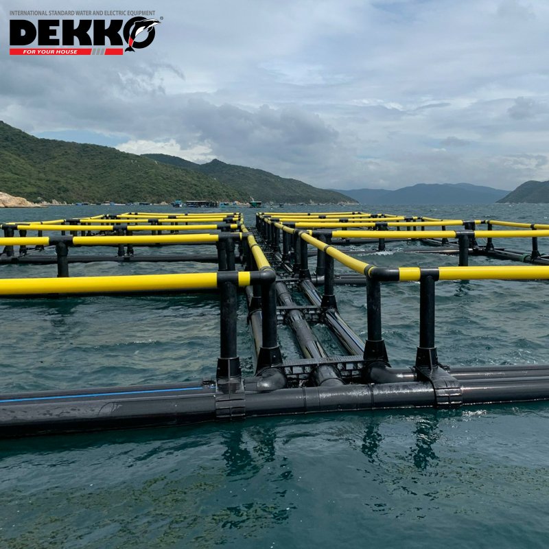 Hdpe Floating Fish Farming Cage Double tube square fish cage for Tilapia Fish Farming Best Price