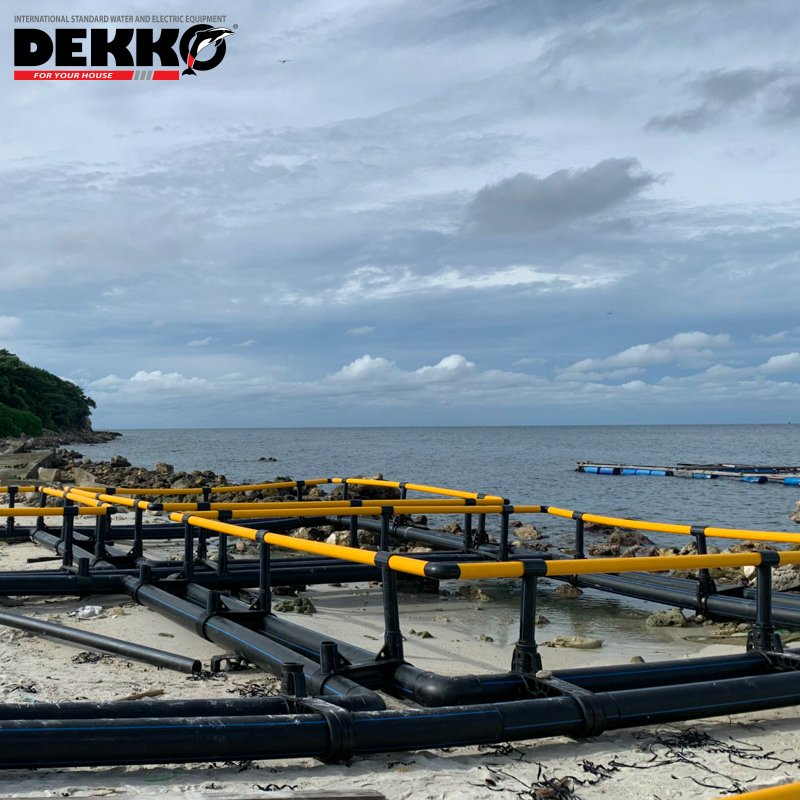 Hdpe Floating Fish Farming Cage Double tube square fish cage for Tilapia Fish Farming Best Price