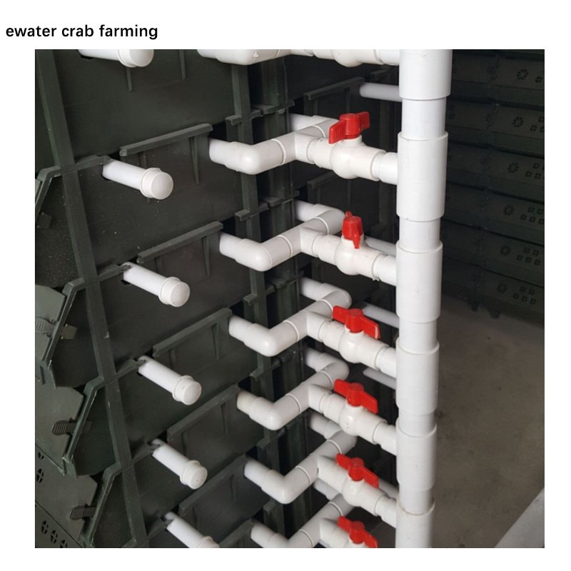 Indoor mud crab equipment plastic crab house / crab boxes