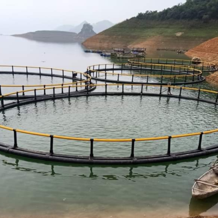 Wholesale Hdpe Floating Float Cage Fish Farming Aquaculture Trap Fish Trap From Vietnam Manufacturer