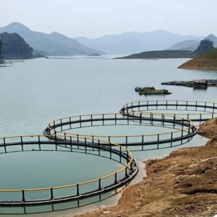 Wholesale Hdpe Floating Float Cage Fish Farming Aquaculture Trap Fish Trap From Vietnam Manufacturer