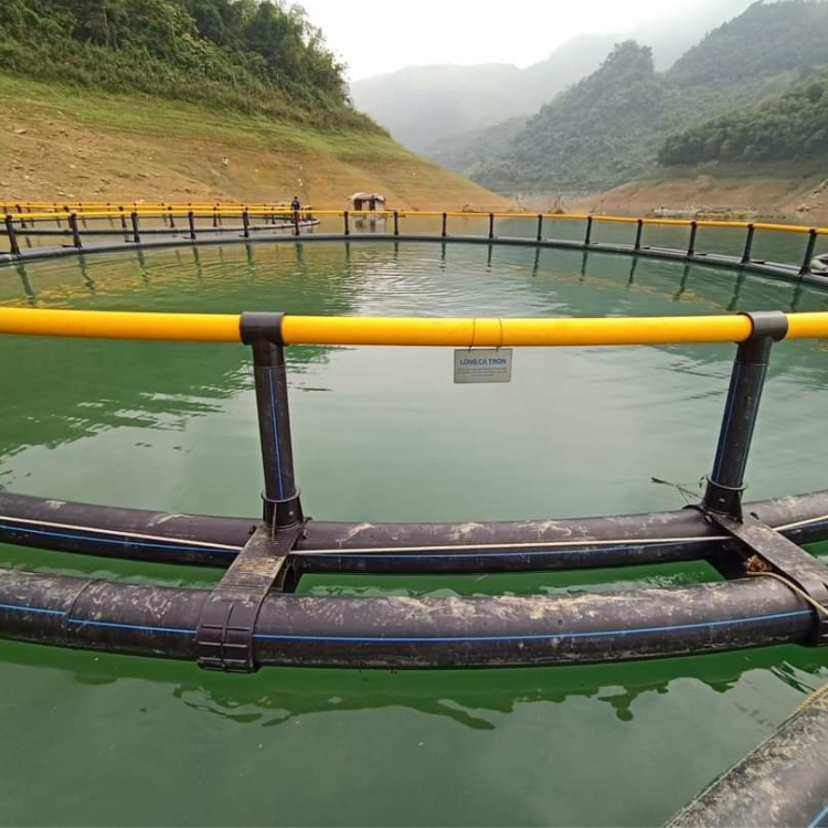 Wholesale Hdpe Floating Float Cage Fish Farming Aquaculture Trap Fish Trap From Vietnam Manufacturer