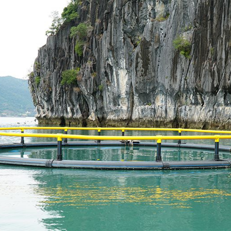 Wholesale Hdpe Floating Float Cage Fish Farming Aquaculture Trap Fish Trap From Vietnam Manufacturer