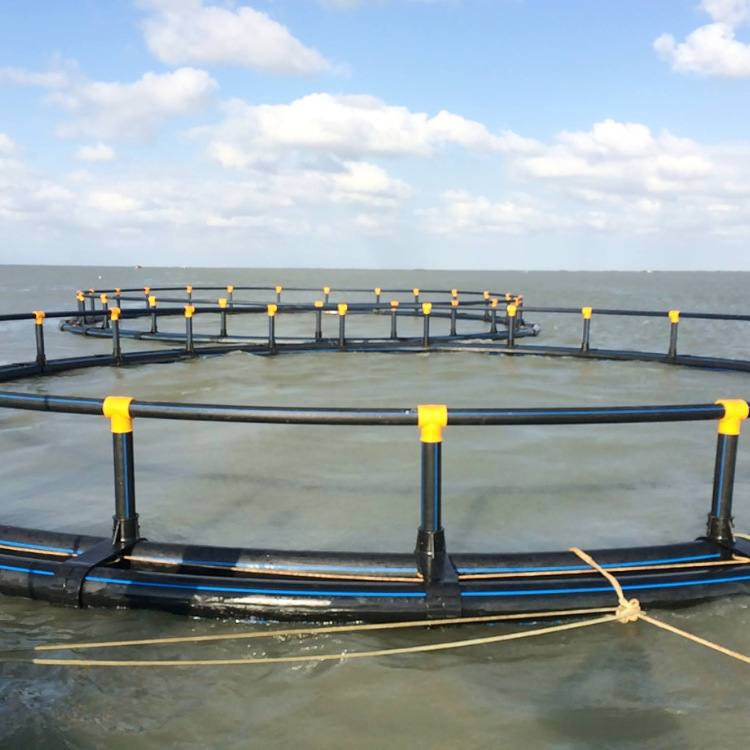 Wholesale Hdpe Floating Float Cage Fish Farming Aquaculture Trap Fish Trap From Vietnam Manufacturer