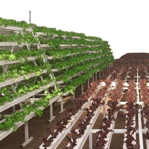 Fish Vegetable Commercial Aquaponics System For Fish And Plant Grow Together Soilless Culture System