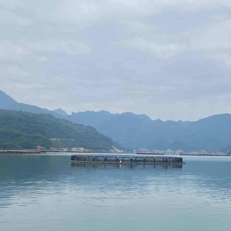 Hot Selling Large Fishing Cages Pisciculture Floating Farm Aquaculture Trap Agricultural Equipment From Vietnam Manufacturer