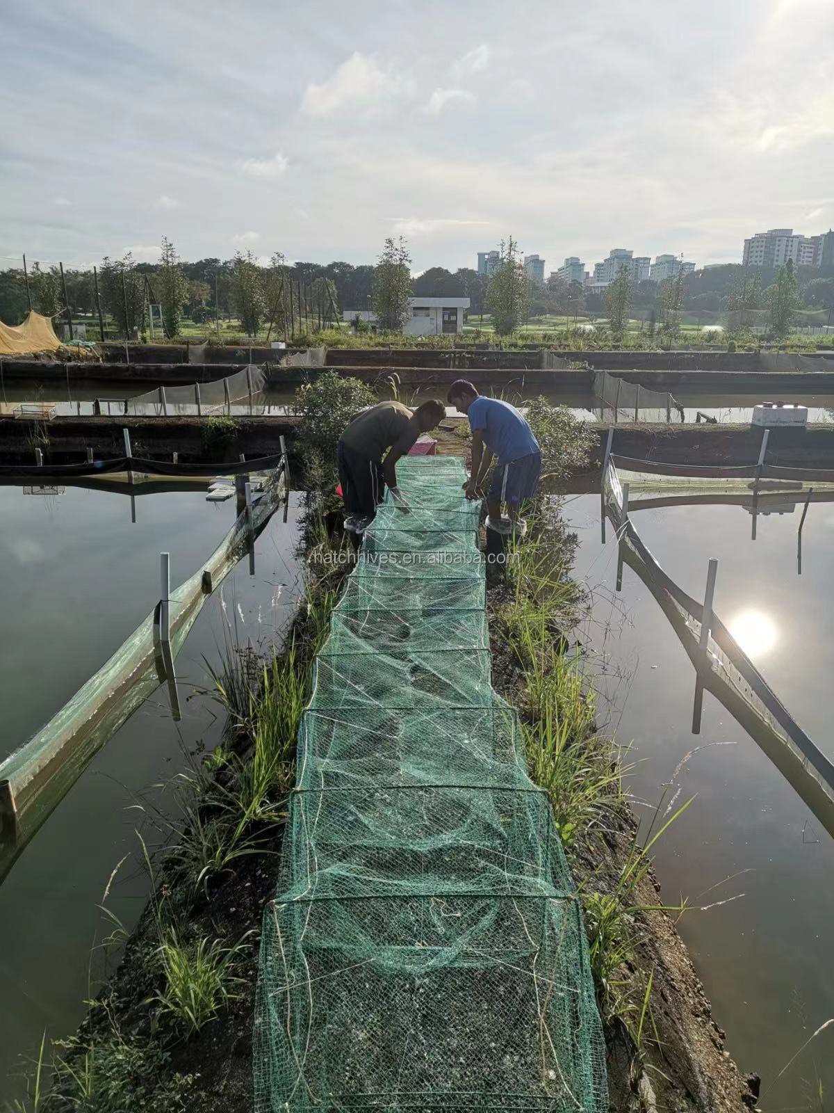 Factory Wholesale Crab Fishing Trap Fish Farming Equipments