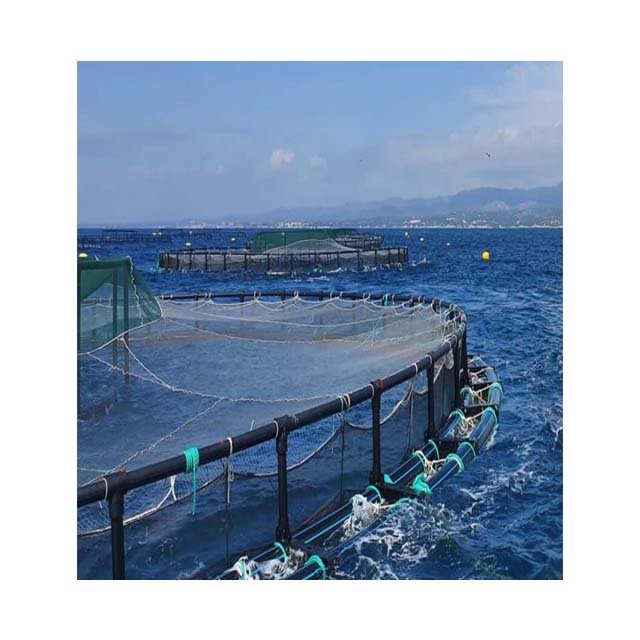 nylon hdpe fish net cage floating cage for fish