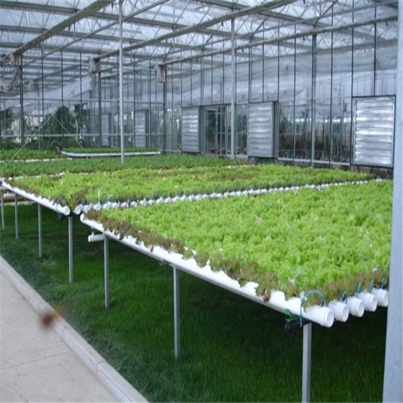 Agricultural glass green house for hydroponics system plant vegetables