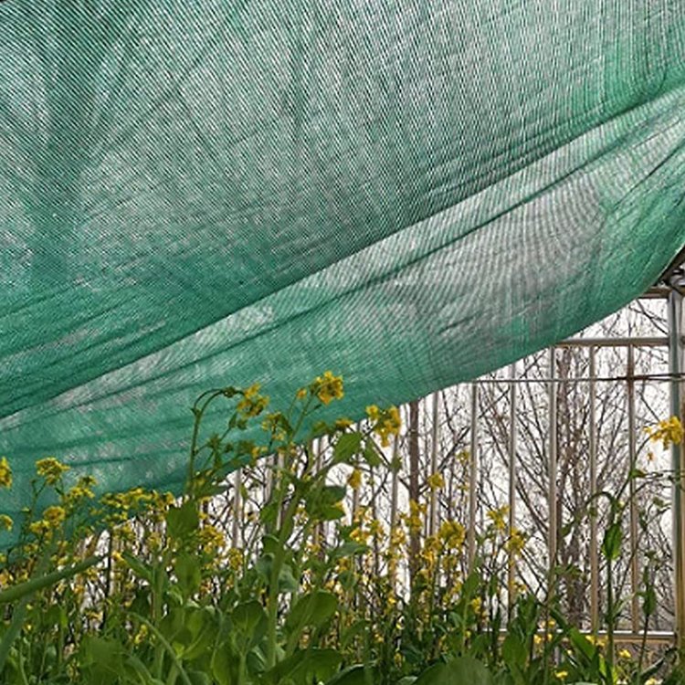 hdpe 75% sun shade net /malla sombra 90 %/agriculture green shade net knitted shade cloth