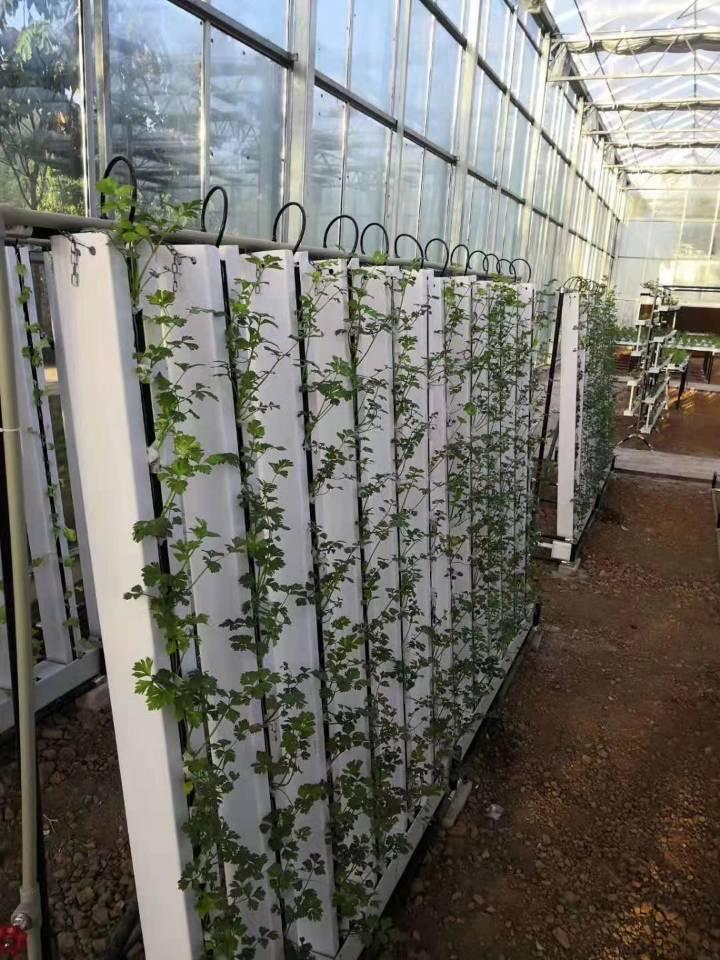 Home Gardening Balcony Hydroponic Farm Agriculture Vegetable Grow Pineapple Type Vertical Tower