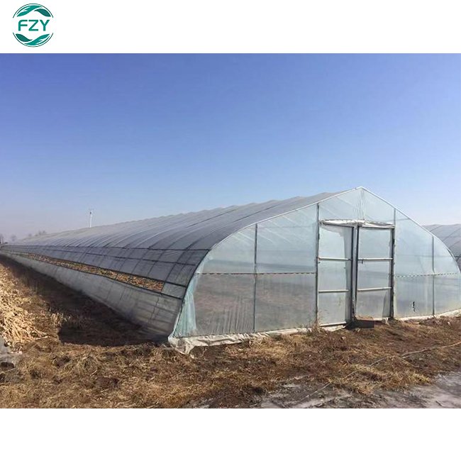 large Vegetables growing hoop house single span agricultural greenhouses china custom green house for planting