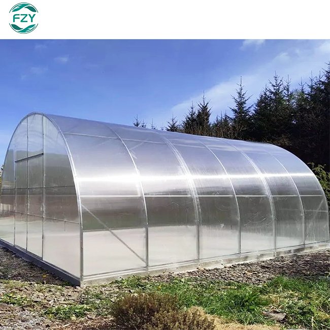large Vegetables growing hoop house single span agricultural greenhouses china custom green house for planting
