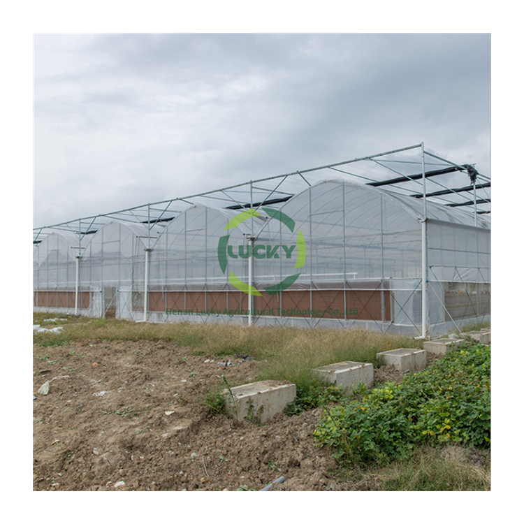 Low Cost Commercial Greenhouse Kits Wholesale Agricultural Equipment Vegetables Rolling Bench Hoop Solar Panel China Greenhouses