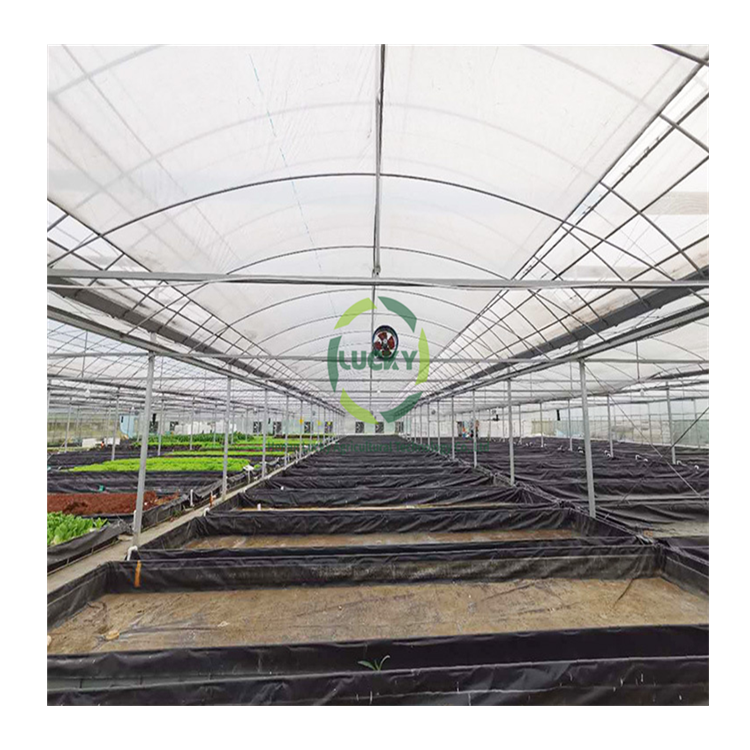 Low Cost Commercial Greenhouse Kits Wholesale Agricultural Equipment Vegetables Rolling Bench Hoop Solar Panel China Greenhouses