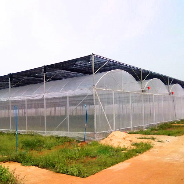 Low Cost Commercial Greenhouse Kits Wholesale Agricultural Equipment Vegetables Rolling Bench Hoop Solar Panel China Greenhouses