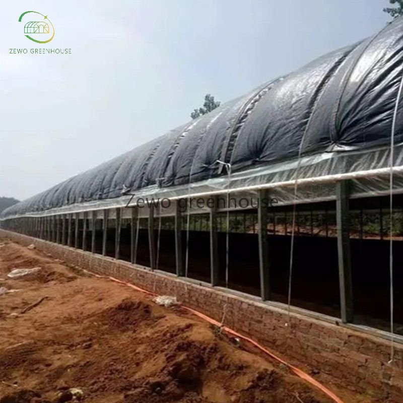 Wuxi Zewo House Film Filmsale Single Spanagricultural Greenhouses Green Agricultural Large Strawberry Seeds Po/ PE Film 275g